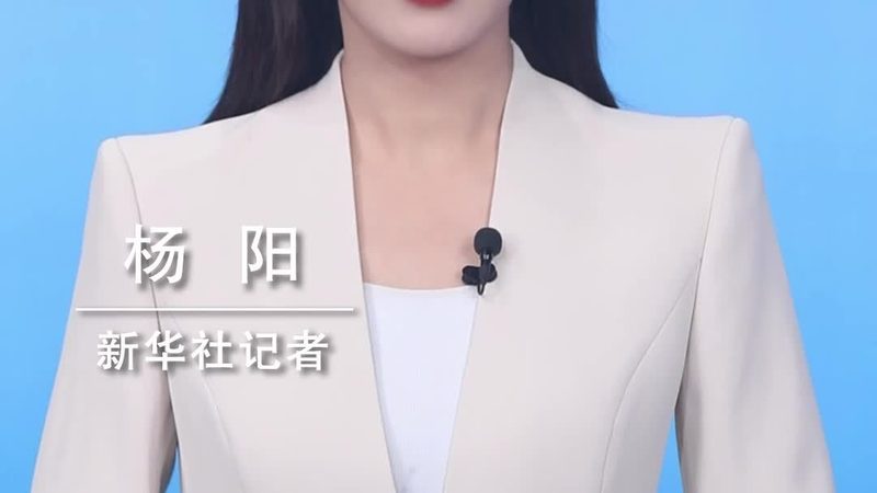 成都移动BI应用开发：企业数据洞察的智能利器